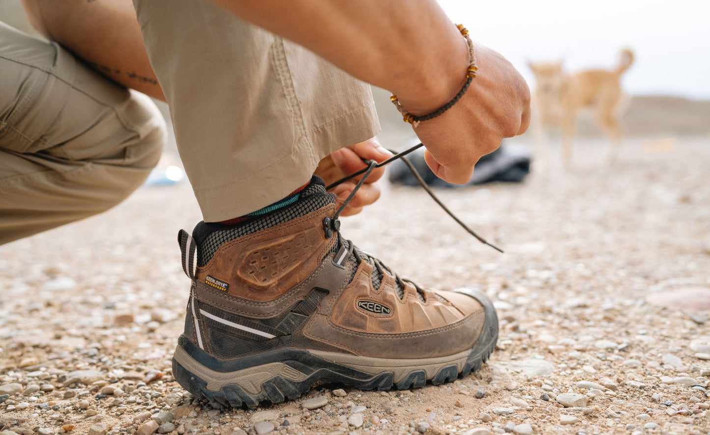 Men's Targhee III Waterproof Mid Black Olive/Golden Brown / Keen For sale