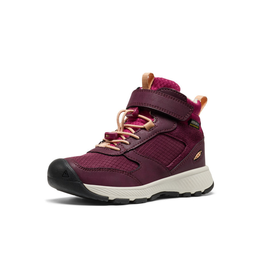 Little Kids' Skua Waterproof Boot Fig/Peach Fuzz / Keen Online