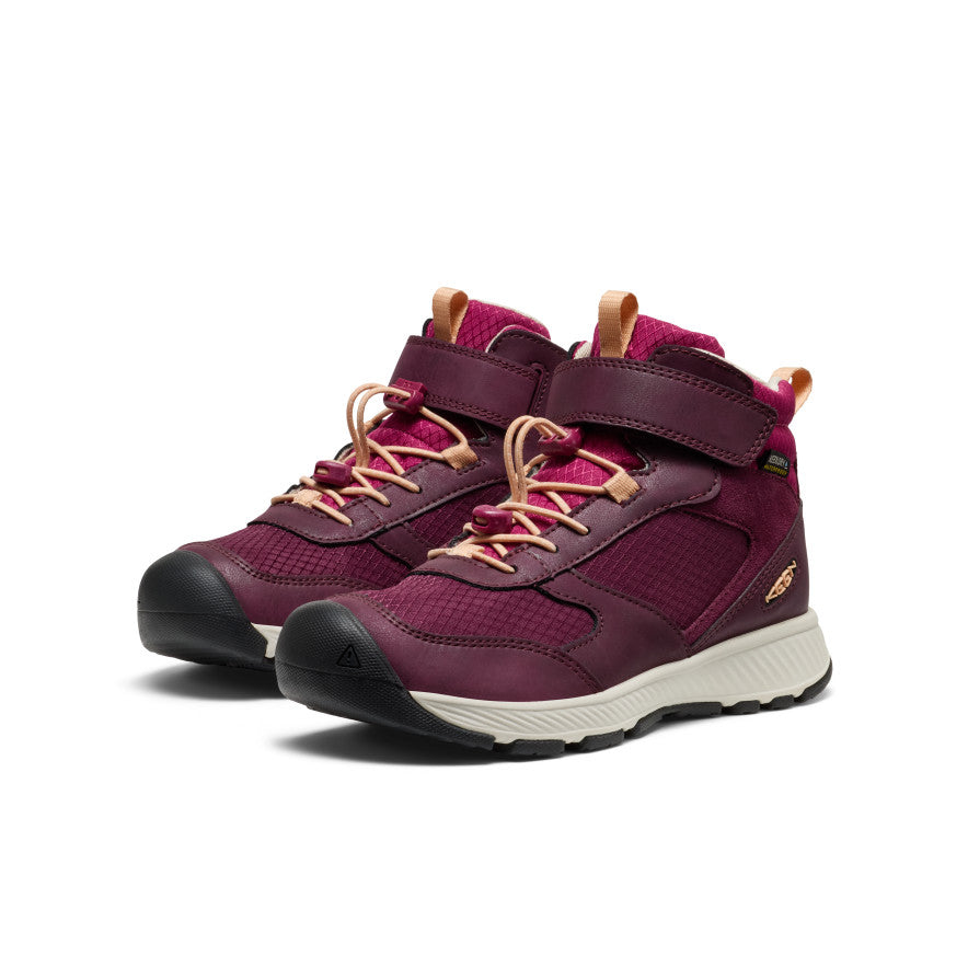 Big Kids' Skua Waterproof Boot Fig/Peach Fuzz / Keen For sale